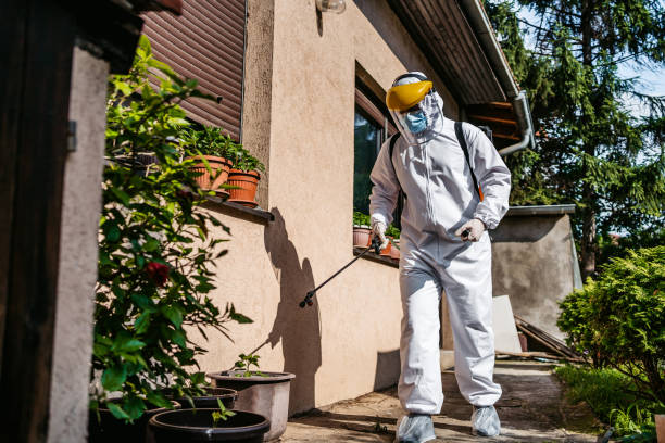 Best Rodent Control Near Me  in Park City, MT