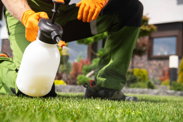 Best Flea Control Services  in Park City, MT