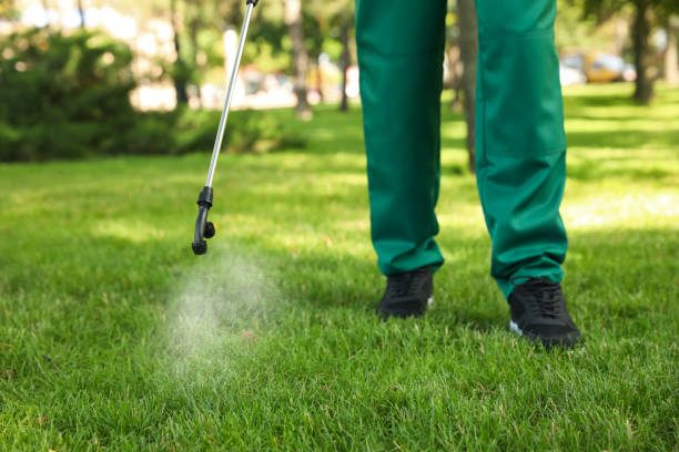 Best Pest Inspection Near Me  in Park City, MT