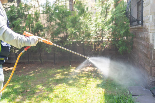Best Pest Inspection Near Me  in Park City, MT