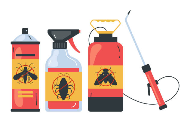 Best Spider Control Near Me  in Park City, MT