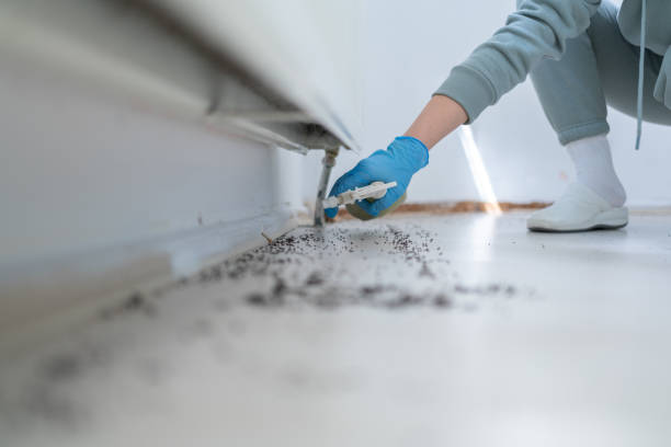 Park City, MT Pest Control Company