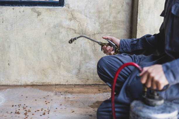 Best Best Pest Control Companies  in Park City, MT